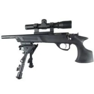 Keystone Sporting Arms Crickett Synthetic Pistol