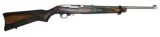 Ruger 10/22 Stainless