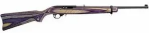 Ruger 10/22 1208