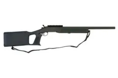 H&R 1871 Survivor image