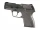 Palmetto State Armory