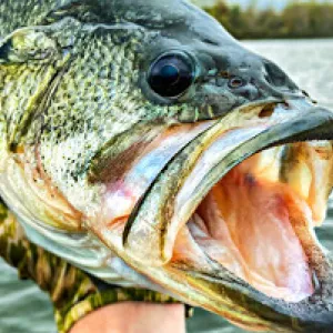 Fishing Community Image