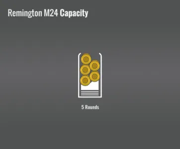 Remington M24 Capacity