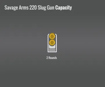 Savage Arms 220 Slug Gun Capacity