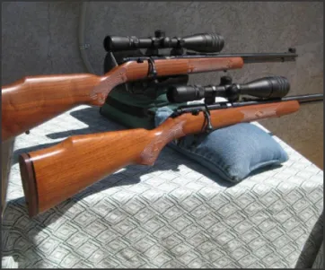 Marlin 983 Mobility