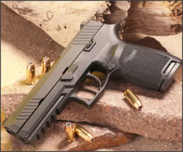 Sig Sauer P320 Fit-N-Finish