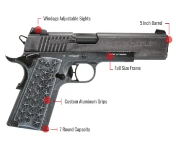 Sig Sauer 1911 We The People Feature