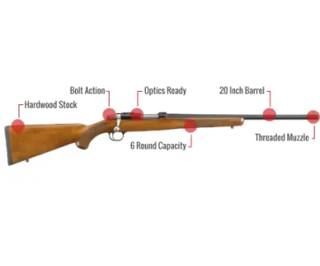 Ruger 77/22 Feature