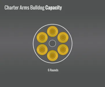 Charter Arms Bulldog Capacity