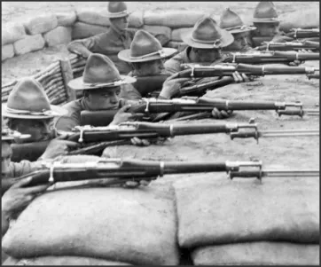 Springfield Armory 1903 Mobility