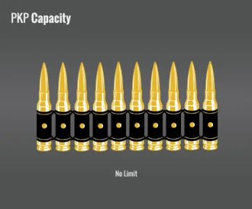 Pkp Pecheneg Capacity