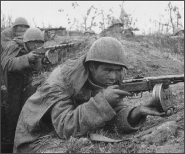 Tnw Ppsh-41 Mobility