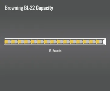 Browning Bl-22 Capacity