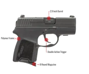 Sig Sauer P290 Feature