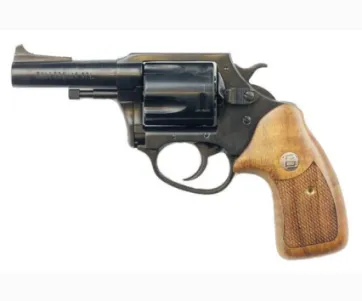 Charter Arms Bulldog Ergonomics