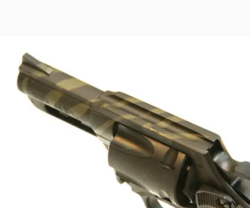 Charter Arms Bulldog Concealability