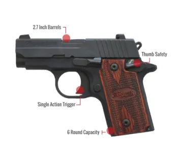 Sig Sauer P238 Feature