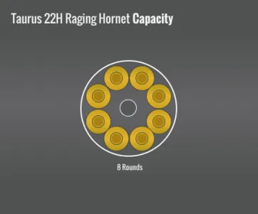 Taurus 22H Raging Hornet Capacity