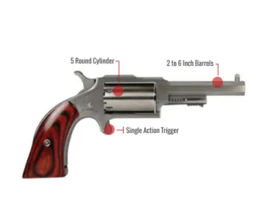 North American Arms The Sheriff Feature