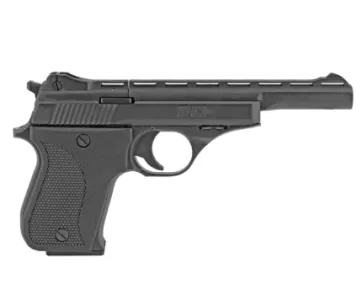 Phoenix Arms Hp22A Ergonomics