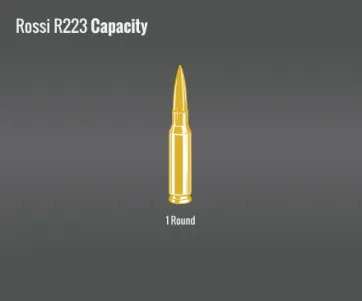 Rossi R223 Capacity