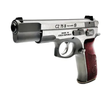 Cz 75 B Concealability