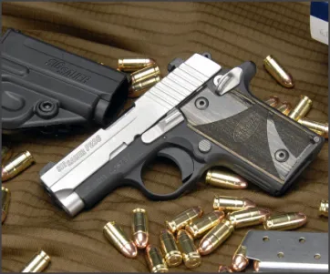 Sig Sauer P238 Fit-N-Finish