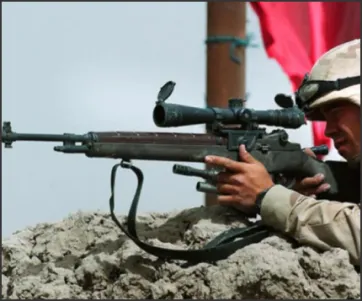 Springfield Armory M21 Fit-N-Finish