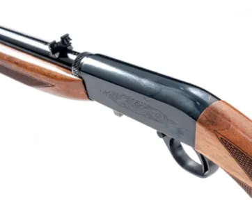 Browning Sa-22 Mobility